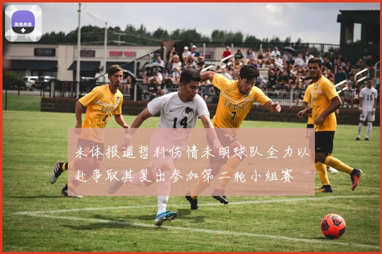 米体报道哲科伤情未明球队全力以赴争取其复出参加第二轮小组赛