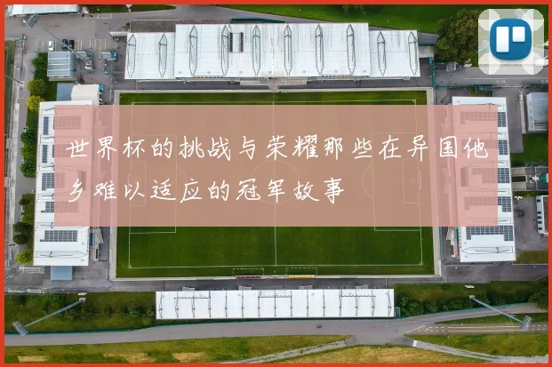 世界杯的挑战与荣耀那些在异国他乡难以适应的冠军故事