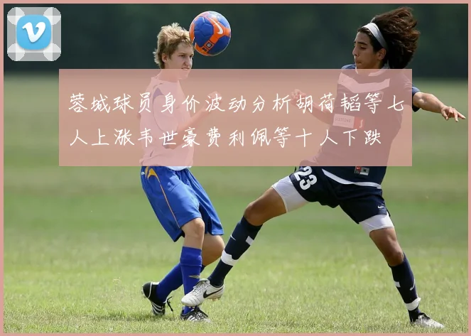 蓉城球员身价波动分析胡荷韬等七人上涨韦世豪费利佩等十人下跌